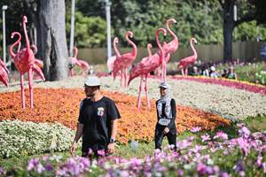 BIB: 
                            <button type="button" onclick="openModal(27793611)" class="btn btn-primary btn-sm float-right btn-popup" data-toggle="modal" data-target=".modal-high-quality">
                        <i class="fas fa-shopping-cart"></i> Add to Cart
                    </button>
                                            <button type="button" onclick="isThisMe(27793611, true)" class="btn btn-success btn-sm float-right btn-popup btn-isme hidden" data-toggle="tooltip" data-placement="bottom" title="นี่คือรูปของคุณใช่ไหม คลิกที่นี่เพื่อเอาเข้าอัลบั้ม">
                        <i class="fas fa-plus"></i> Add to album
                    </button>
                    <button type="button" onclick="isThisMe(27793611, false)" class="btn btn-warning btn-sm float-right btn-popup btn-isnotme hidden">
                        <i class="fas fa-ban"></i> Remove from album
                    </button>